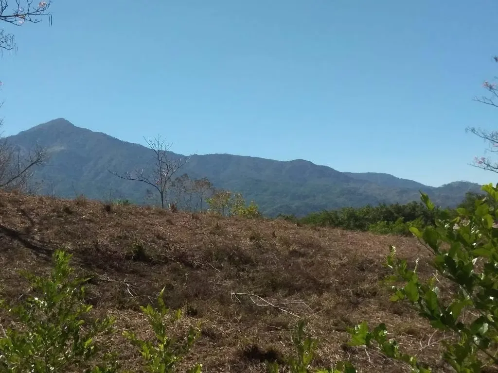 Finca en venta Turrubares
