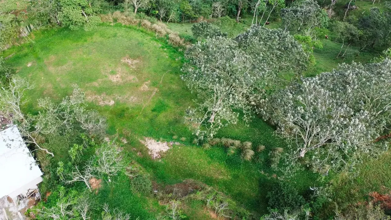 Terreno amplio de 2.500 m² en Santiago, San Ramón, Costa Rica