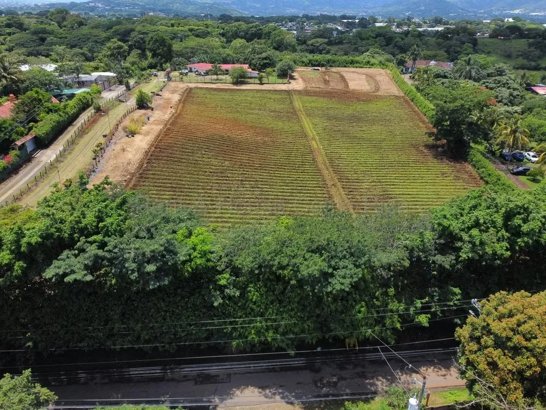 Land for sale in San Rafael, Alajuela 1.65 ha ideal for private cemetery with studies