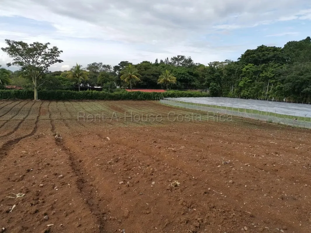 Land for sale in San Rafael, Alajuela 1.65 ha ideal for private cemetery with studies — photo 3