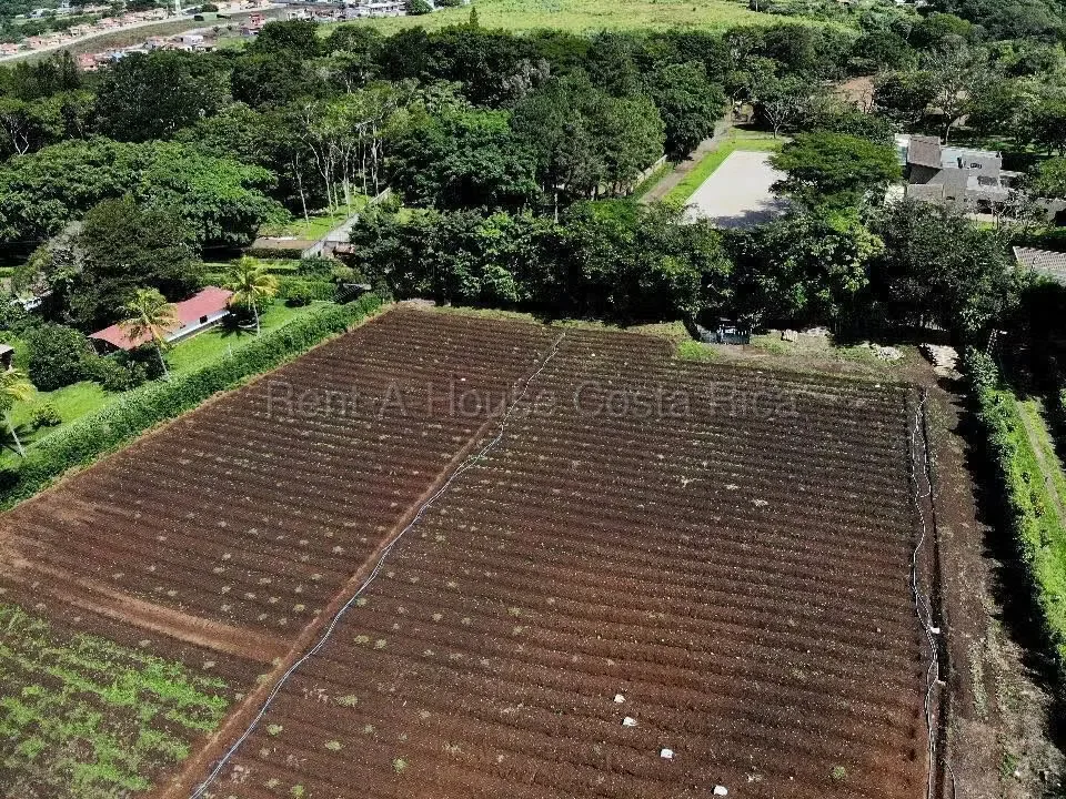 Land for sale in San Rafael, Alajuela 1.65 ha ideal for private cemetery with studies — photo 4