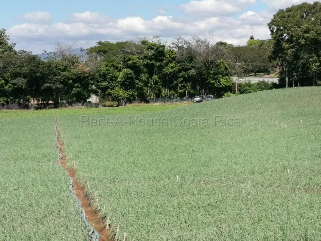 Land for sale in San Rafael, Alajuela 1.65 ha ideal for private cemetery with studies — photo 5