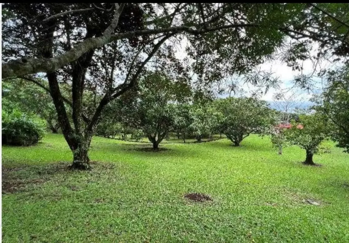Country house/land for sale in La Garita — photo 3
