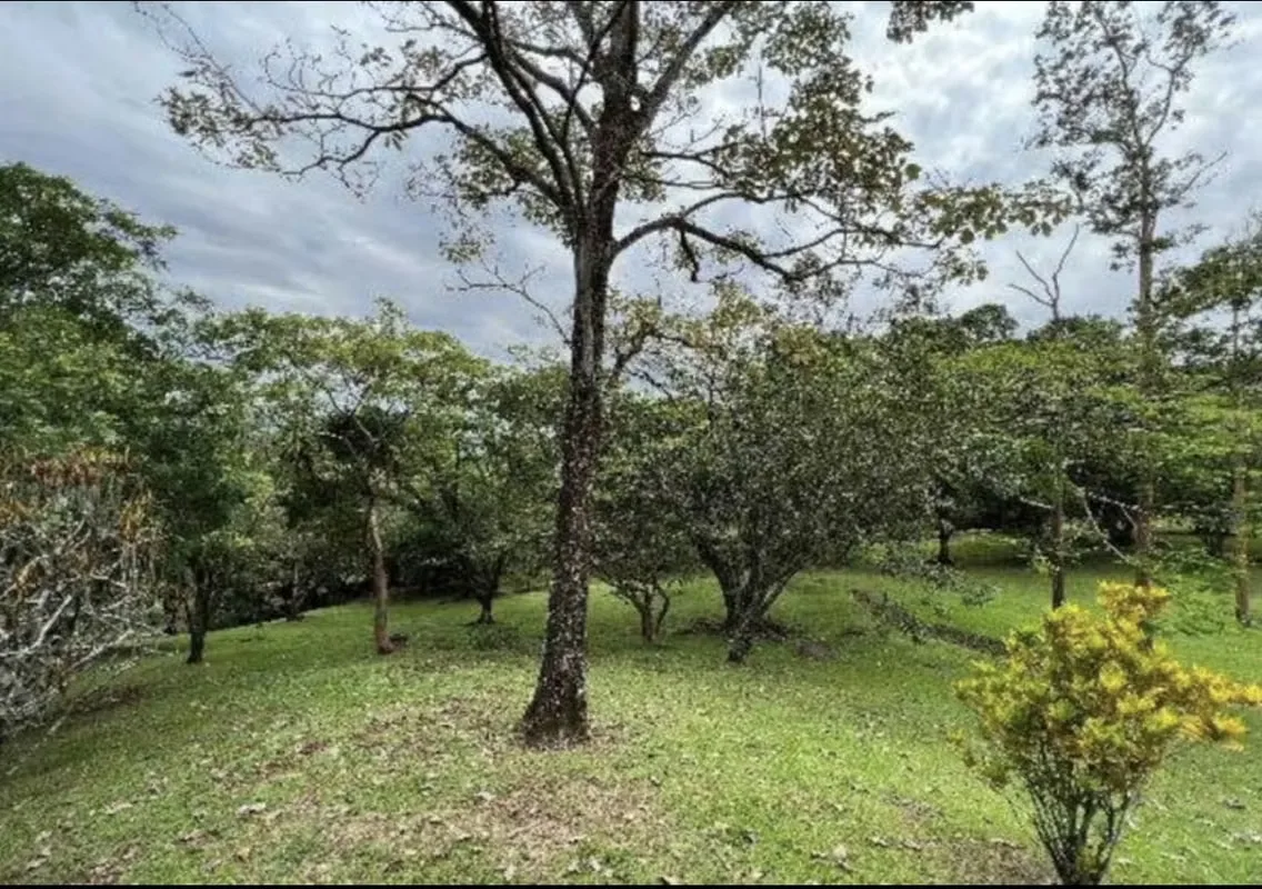Country house/land for sale in La Garita — photo 4