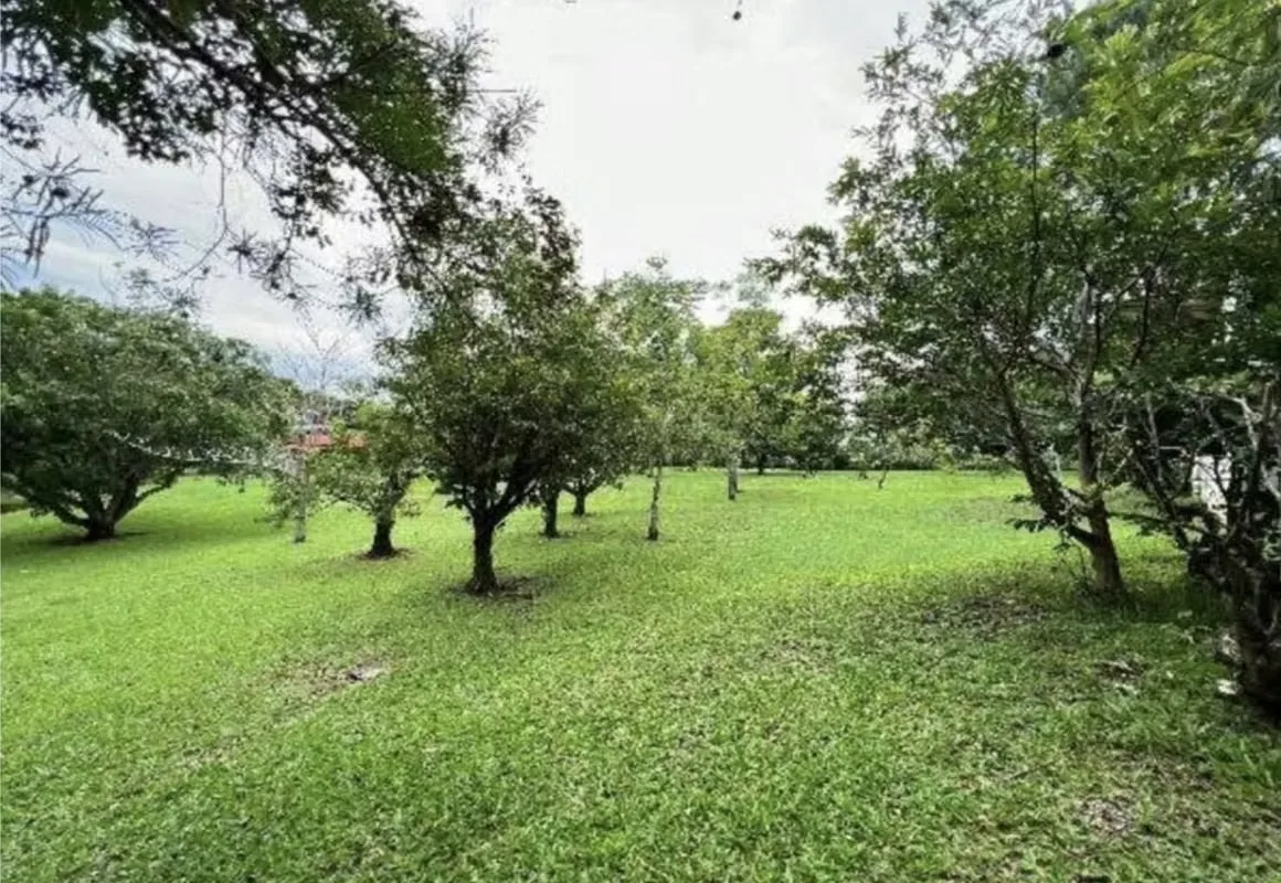 Country house/land for sale in La Garita — photo 5