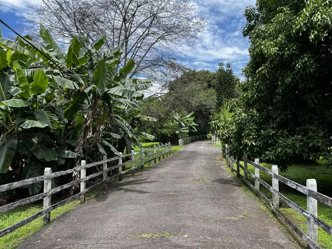 Luxury Eco Estate for Sale in La Garita, Costa Rica with 9,863 m² – Ideal iInvestment opportunity — photo 4