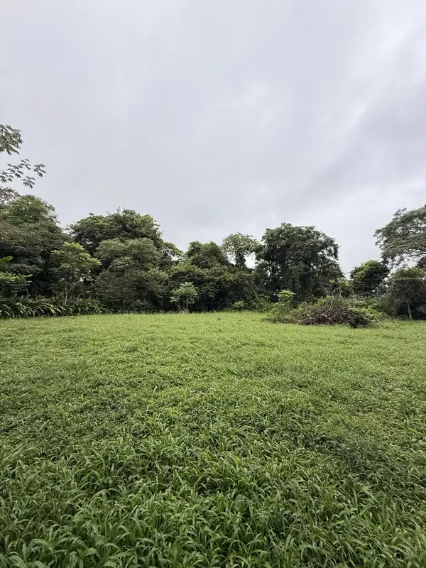 Located in the privileged area of Río Oro, Santa Ana, this spectacular lot offers a unique combination of privacy, nature, and prime location.