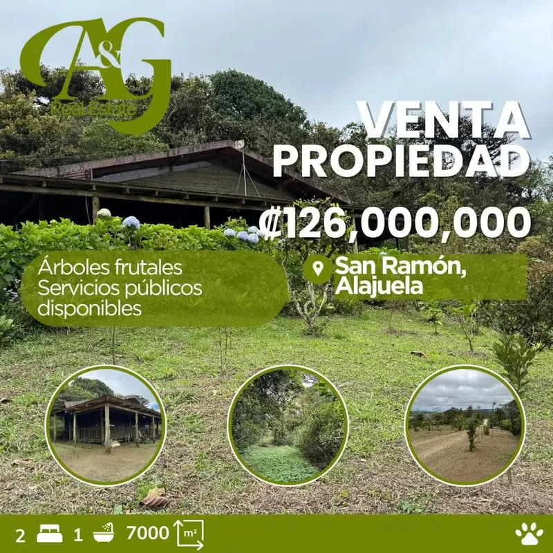 Viví rodeado de naturaleza en el bosque tropical nuboso