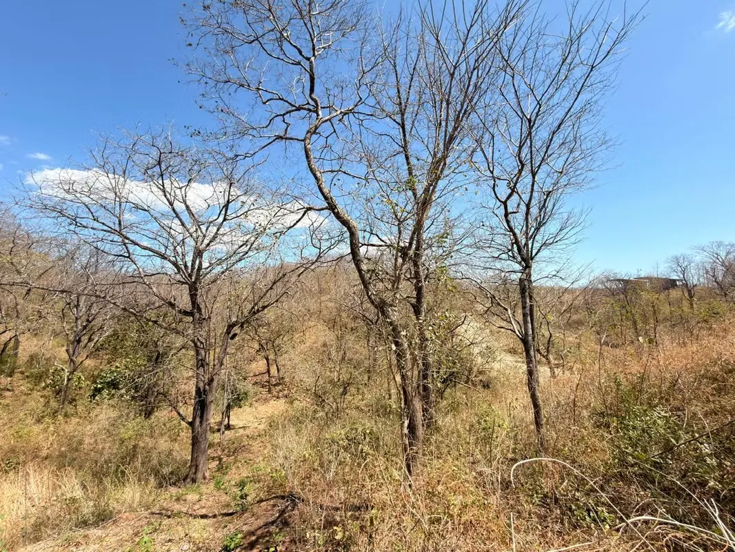 Land for sale in Guanacaste - Marbella
