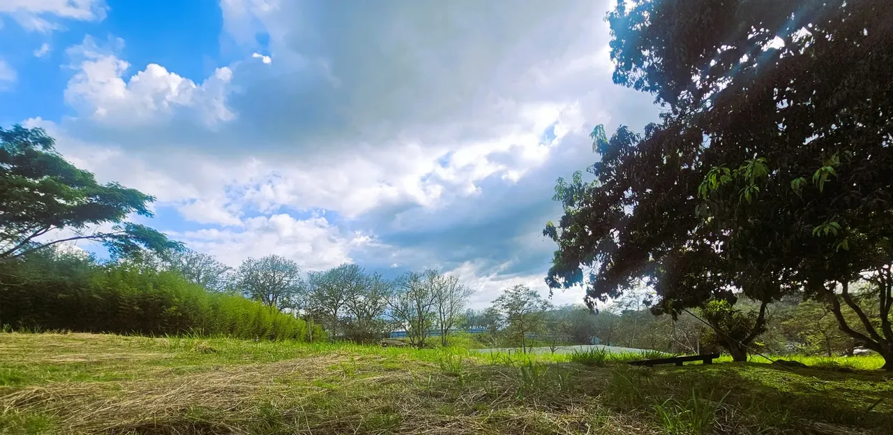 Property for sale for Developers and Investors, with its own water supply, next to INCAE La Garita