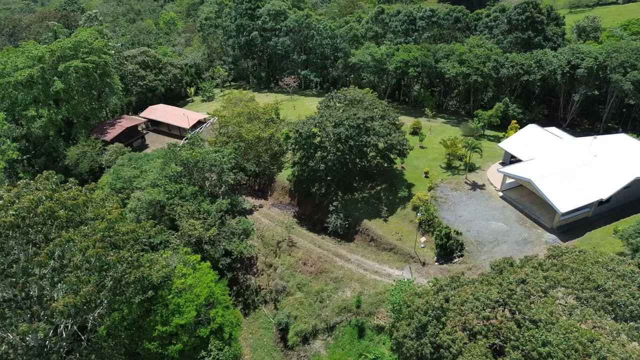 Farm with house for sale in San Juan Sur, Turrialba.
