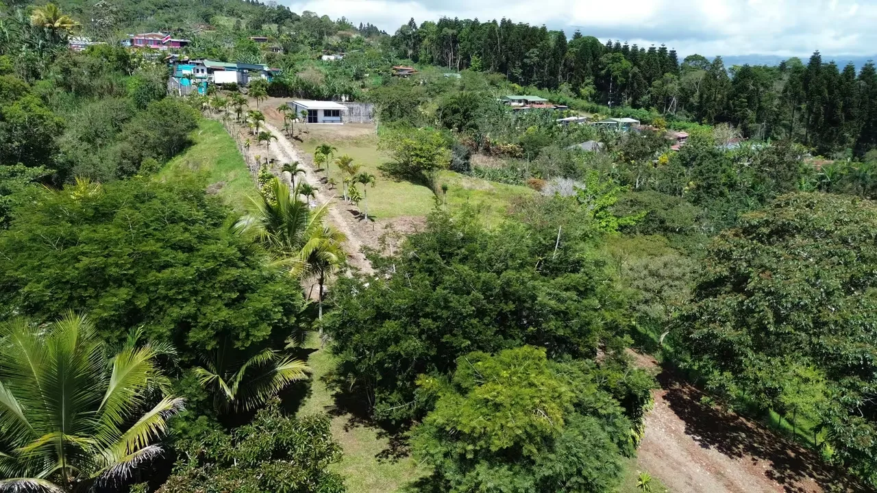 Farm with house for sale in San Juan Sur, Turrialba. — photo 4