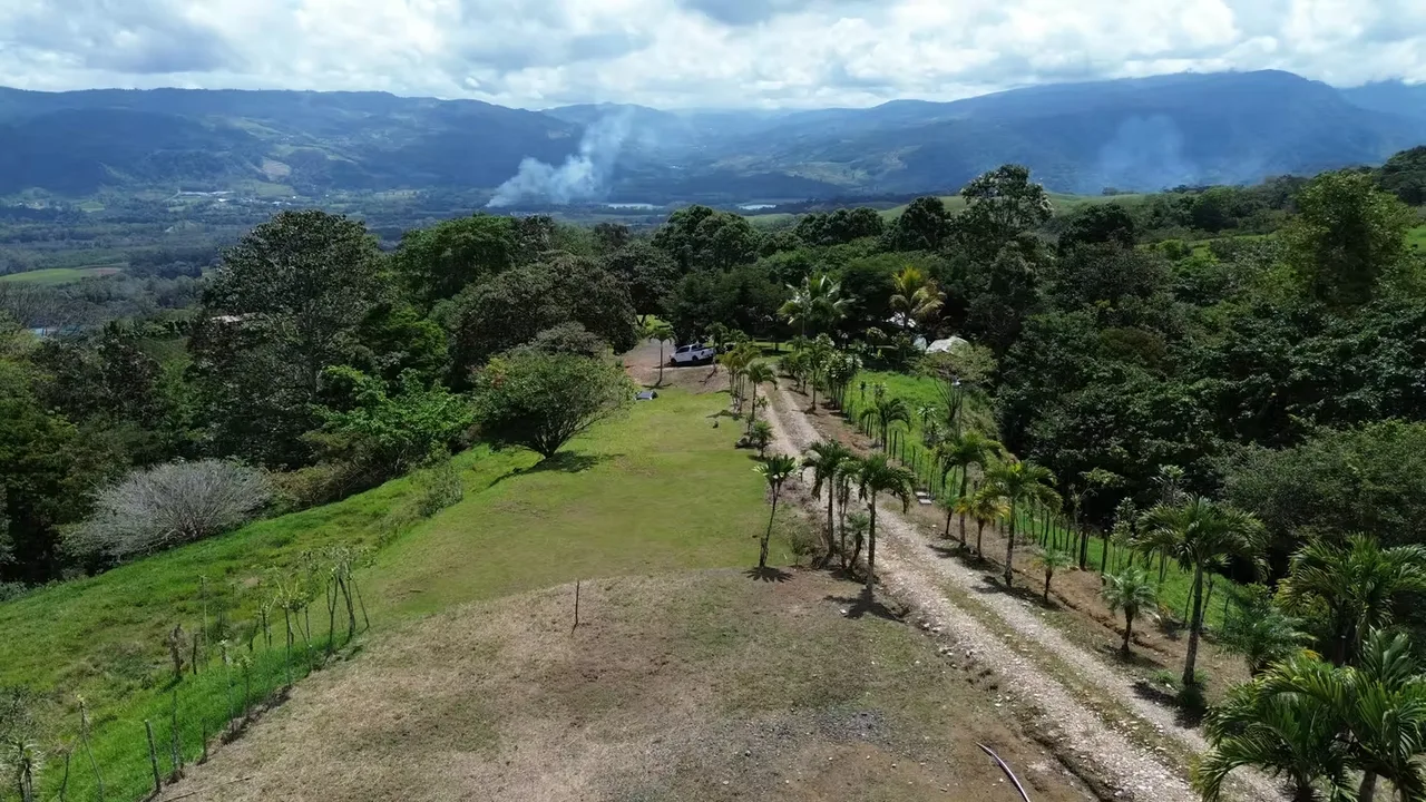 Farm with house for sale in San Juan Sur, Turrialba. — photo 5
