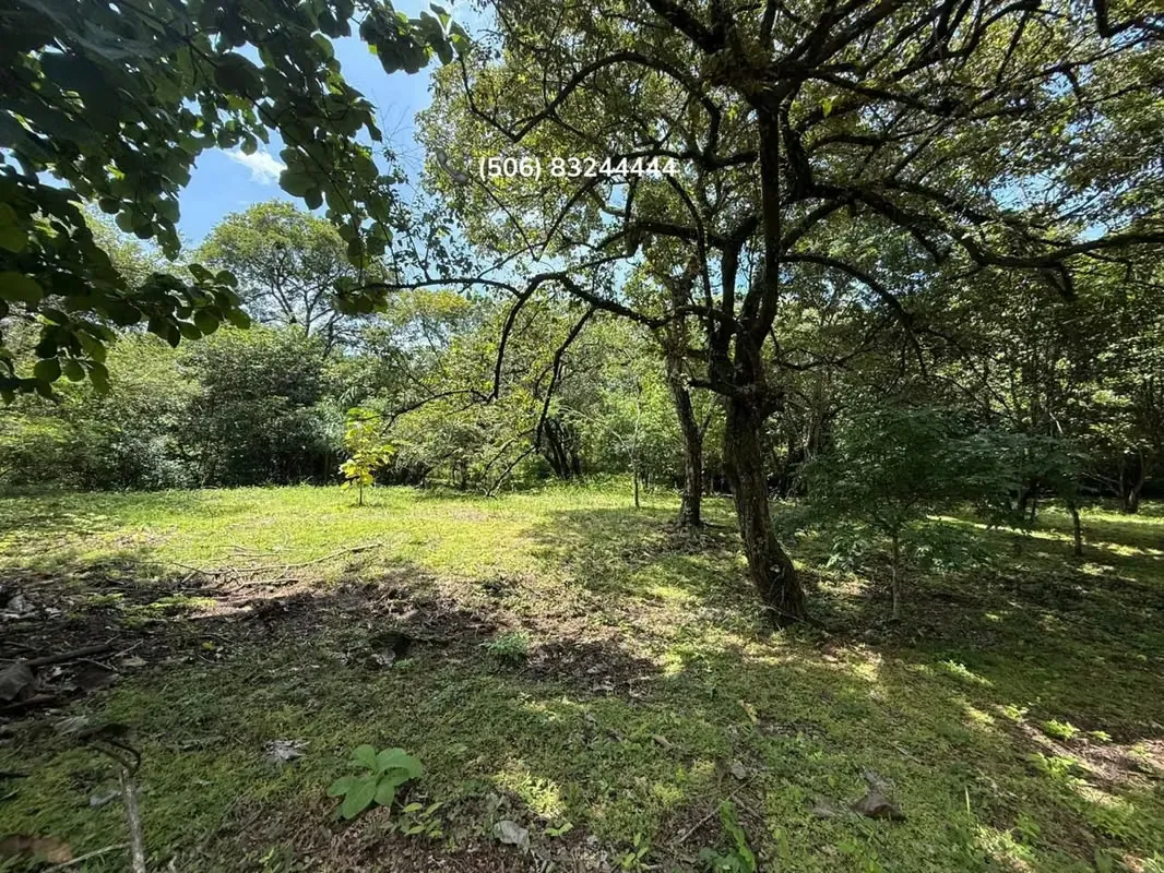 LOT FOR SALE IN GUANACASTE