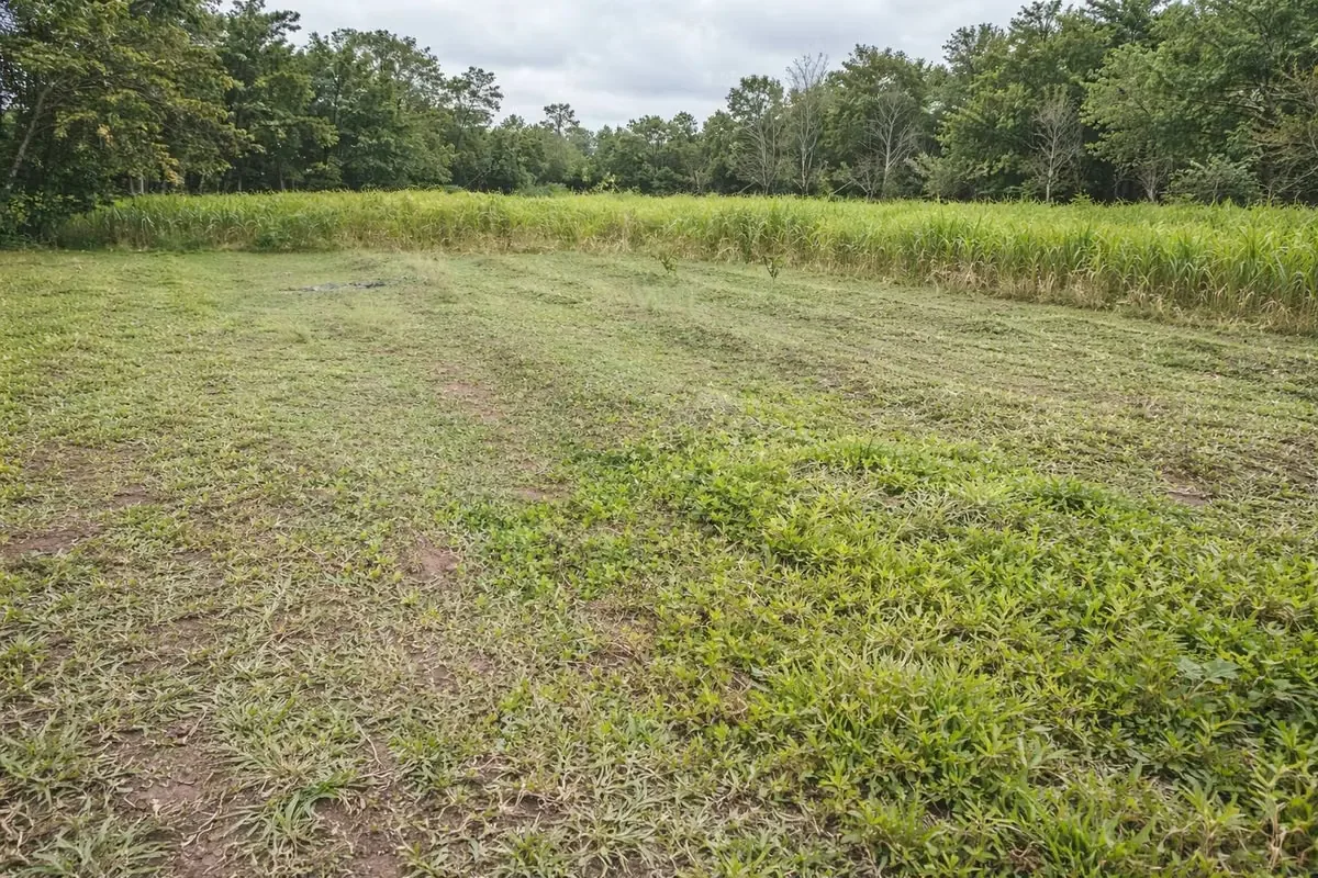 LAND FOR SALE, TICARI, HORQUETTES, SARAPIQUI