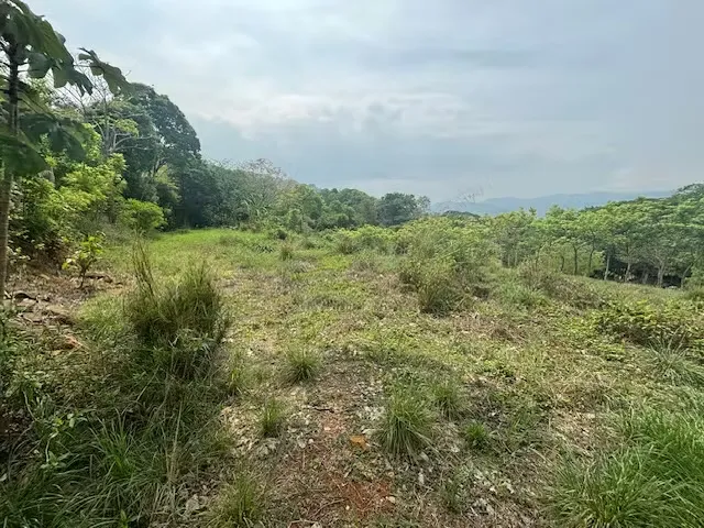 Lote 5 a menos de 5 minutos de 27 en el campo de Atenas con ...
