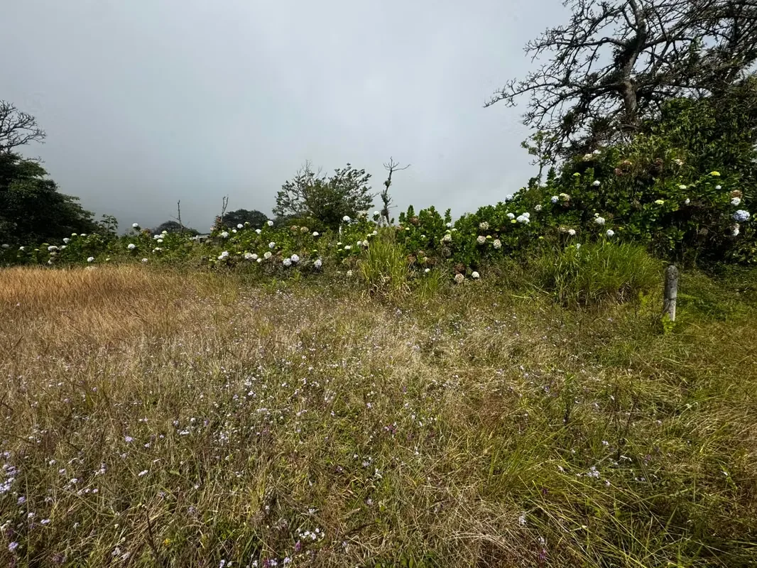 SE VENDE LOTE EN VÁZQUEZ DE CORONADO, SAN JOSÉ — photo 2