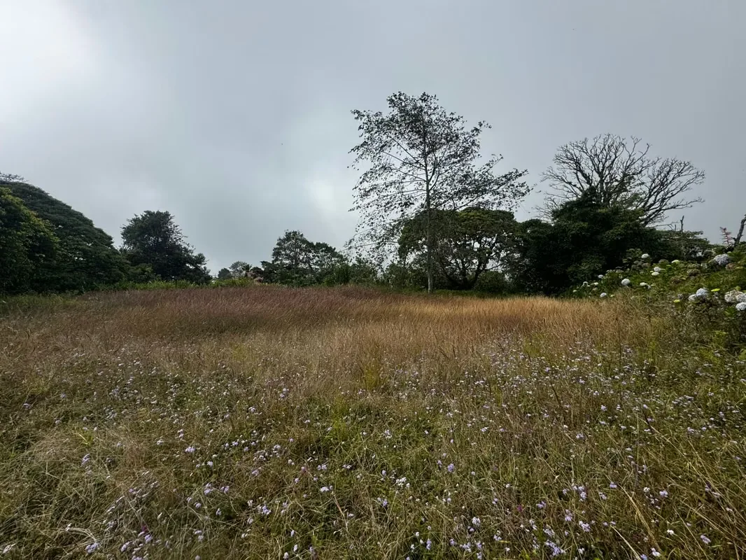 SE VENDE LOTE EN VÁZQUEZ DE CORONADO, SAN JOSÉ — photo 4