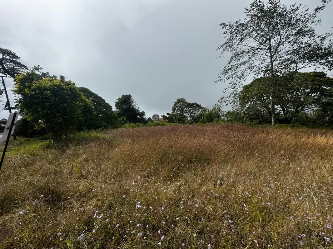 SE VENDE LOTE EN VÁZQUEZ DE CORONADO, SAN JOSÉ — photo 5