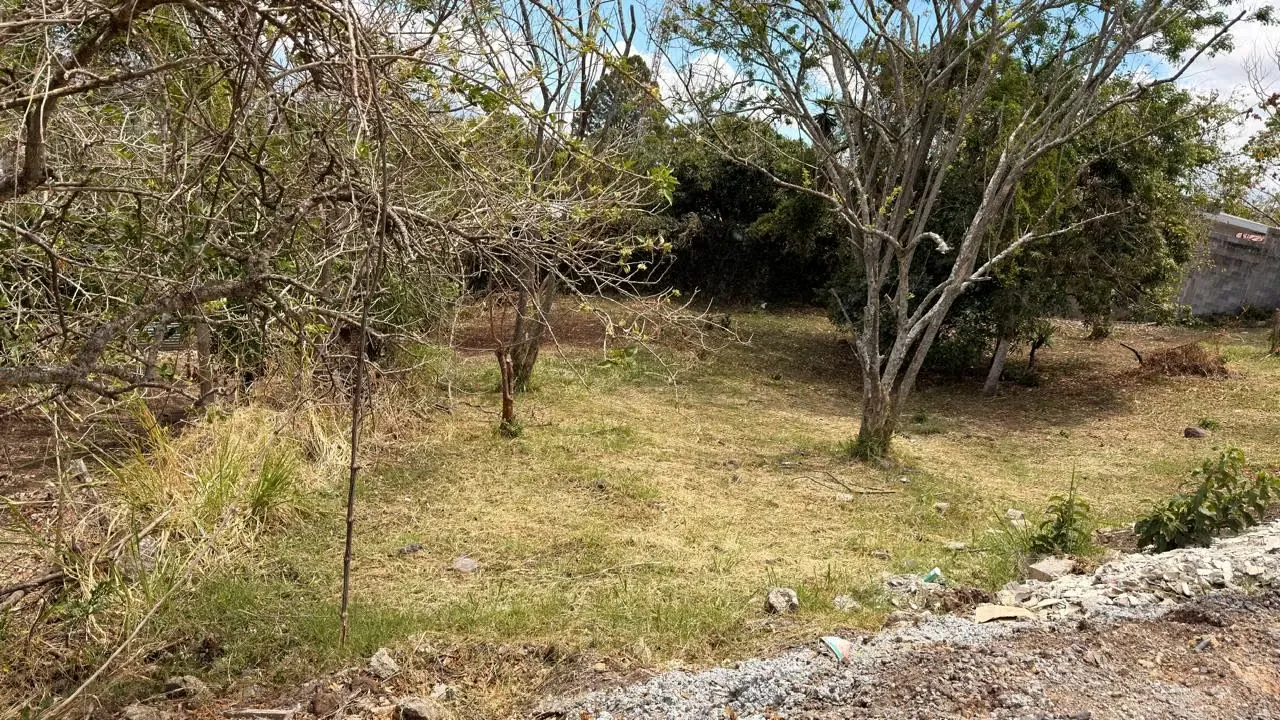 Lot for sale in Spain - Guachipelin - Independent