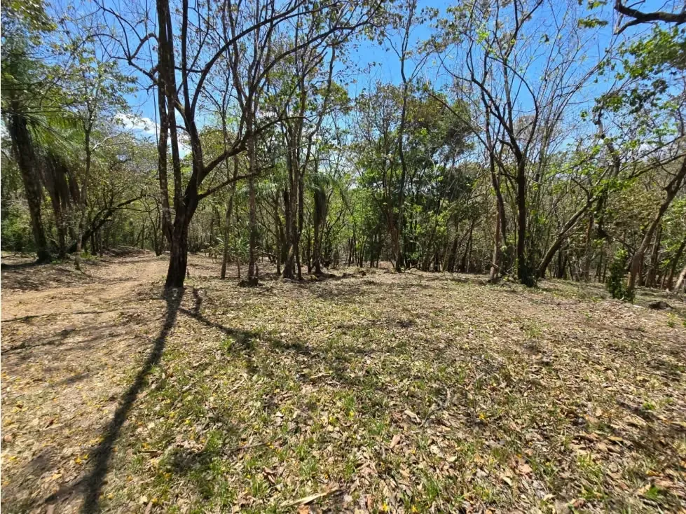 En el hermoso pueblo de Turrubares, ubicado en la provincia de San José, se encuentra este terreno de 9420 M2 disponible para su venta. Con una ubicación privilegiada en una zona en ... — photo 3