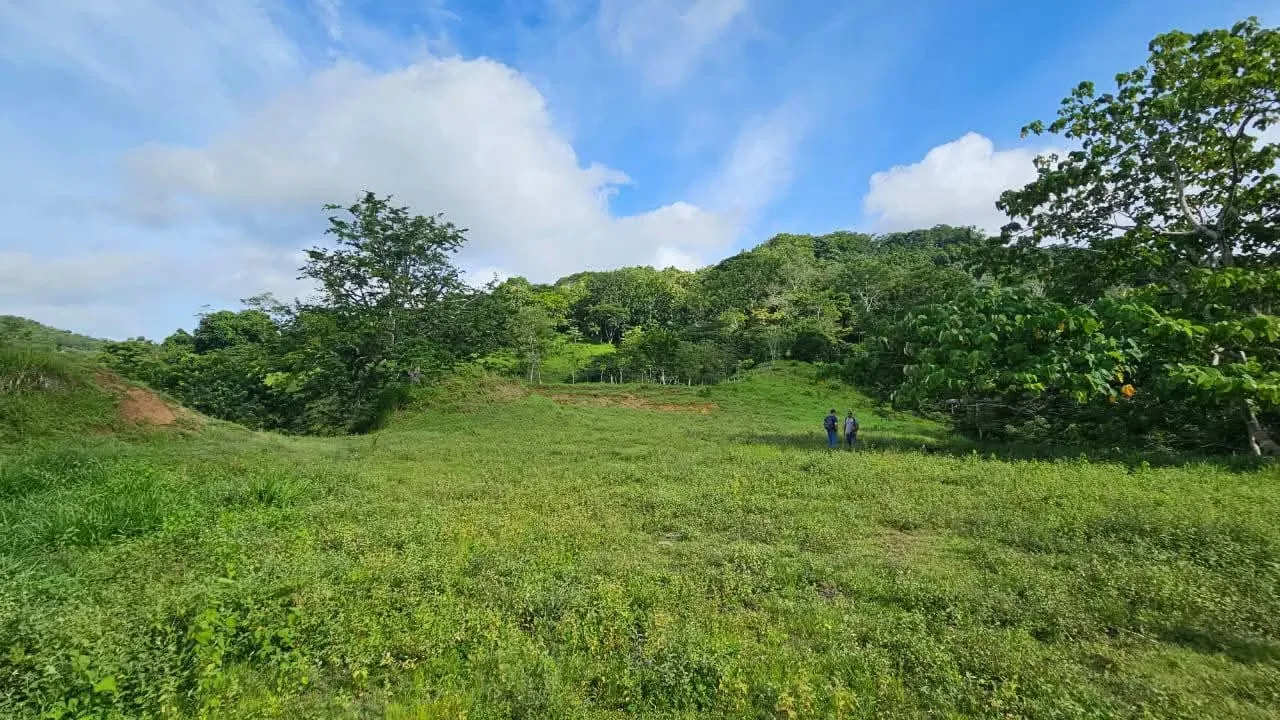 Farm for sale for tourist development in Cóbano.