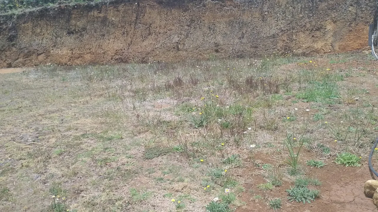 ... To build your home or cabañna, live in the area of high tourism and ... — photo 3