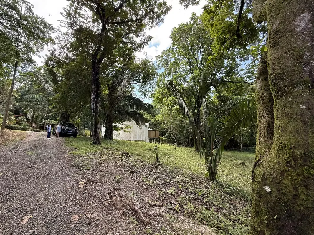 Lots for sale in Guanacaste, Costa Rica, Playa Carrillo, in the Bosque del Lago residential area. — photo 3