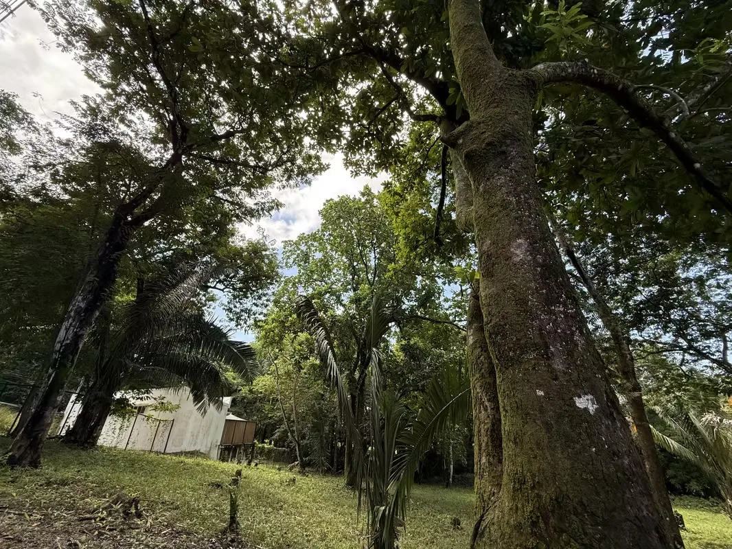 Lots for sale in Guanacaste, Costa Rica, Playa Carrillo, in the Bosque del Lago residential area. — photo 4