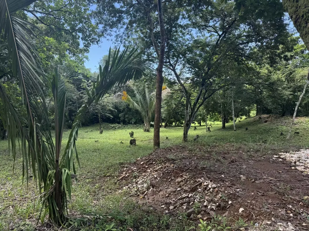 Lots for sale in Guanacaste, Costa Rica, Playa Carrillo, in the Bosque del Lago residential area. — photo 5