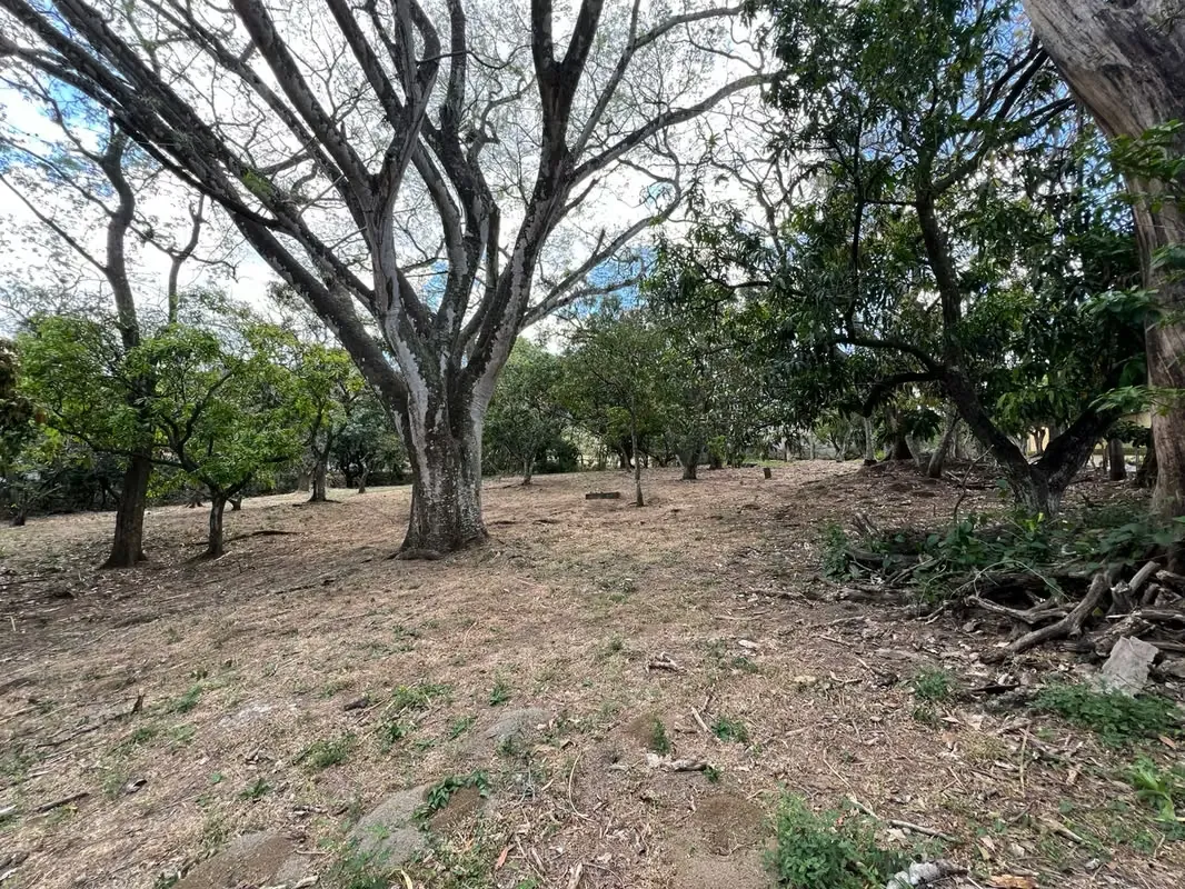 Lot for sale in Piedades de Santa Ana, medium density, 75% coverage, $200 xm2