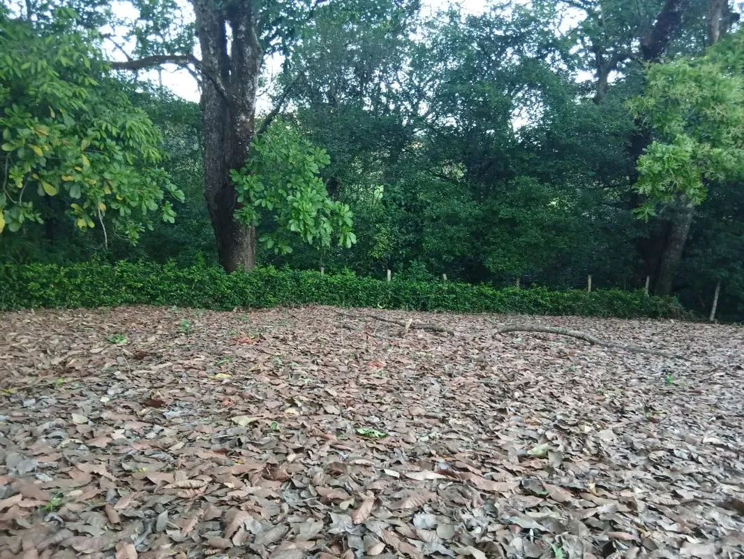 Lot for Sale Curime de Nicoya. Guanacaste. 1827 m2. Via Samara