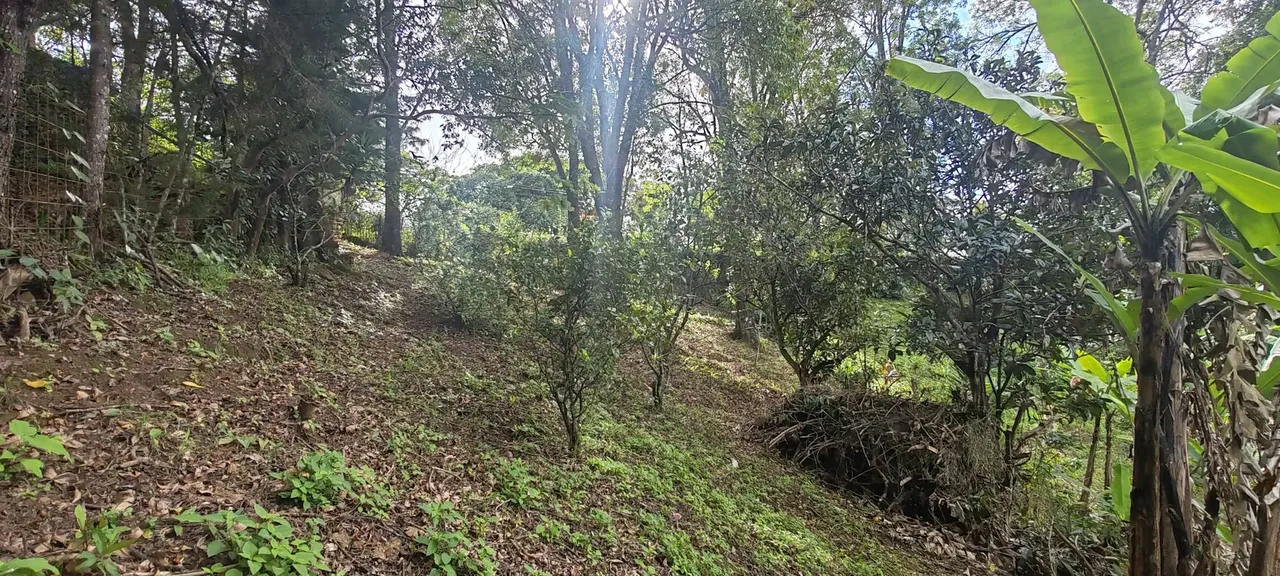 Terreno en Venta en Jericó, Desamparados-¡OPORTUNIDAD ÚNICA !