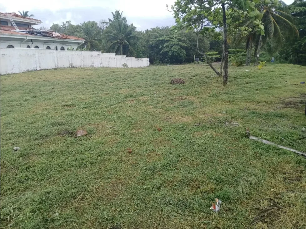 VENTA DE TERRENO DE PLAYA, BAJAMAR, PUNTARENAS 4126 (GC)