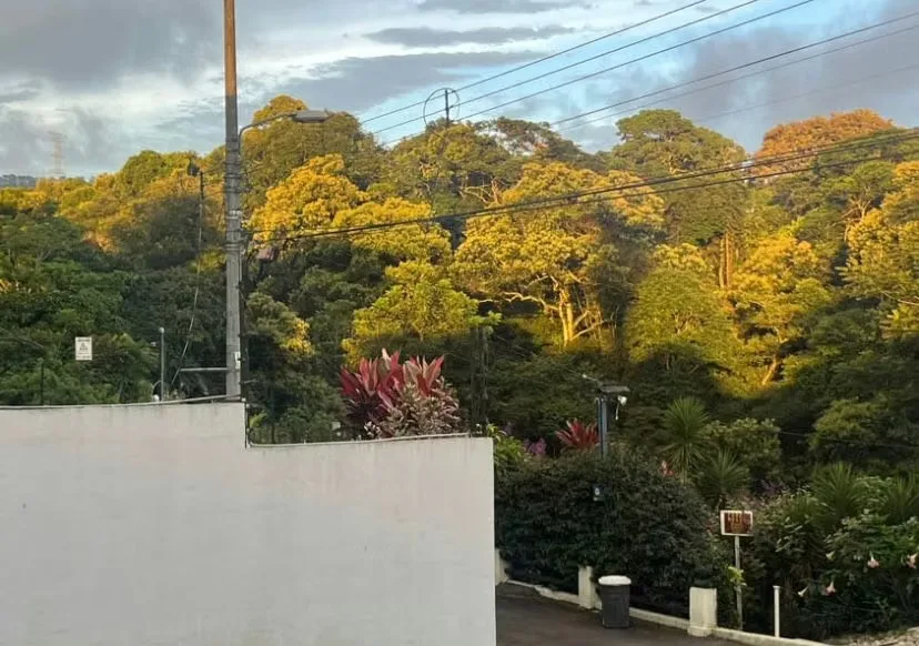 Se vende lote en concepción de Tres Ríos — photo 2