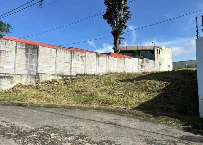 Se vende lote en concepción de Tres Ríos — photo 3
