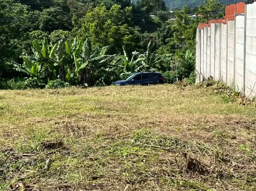 Se vende lote en concepción de Tres Ríos — photo 4
