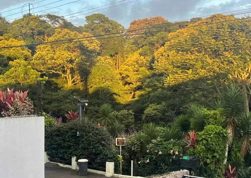 Se vende lote en concepción de Tres Ríos — photo 5
