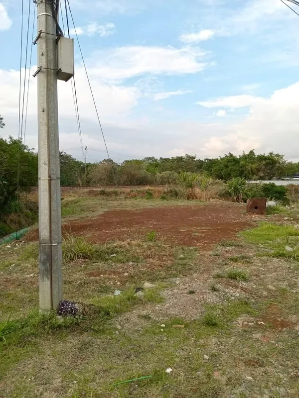 Se alquila hermoso lote con posición estratégica frente AUTOPISTA GENERAL CAÑAS con entrada independiente paralela a la autopista. — photo 2