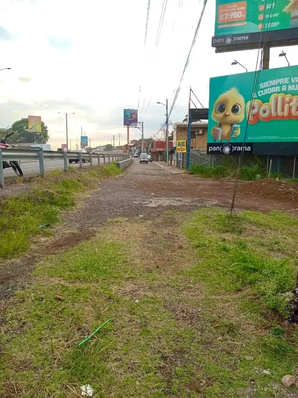 Se alquila hermoso lote con posición estratégica frente AUTOPISTA GENERAL CAÑAS con entrada independiente paralela a la autopista. — photo 4