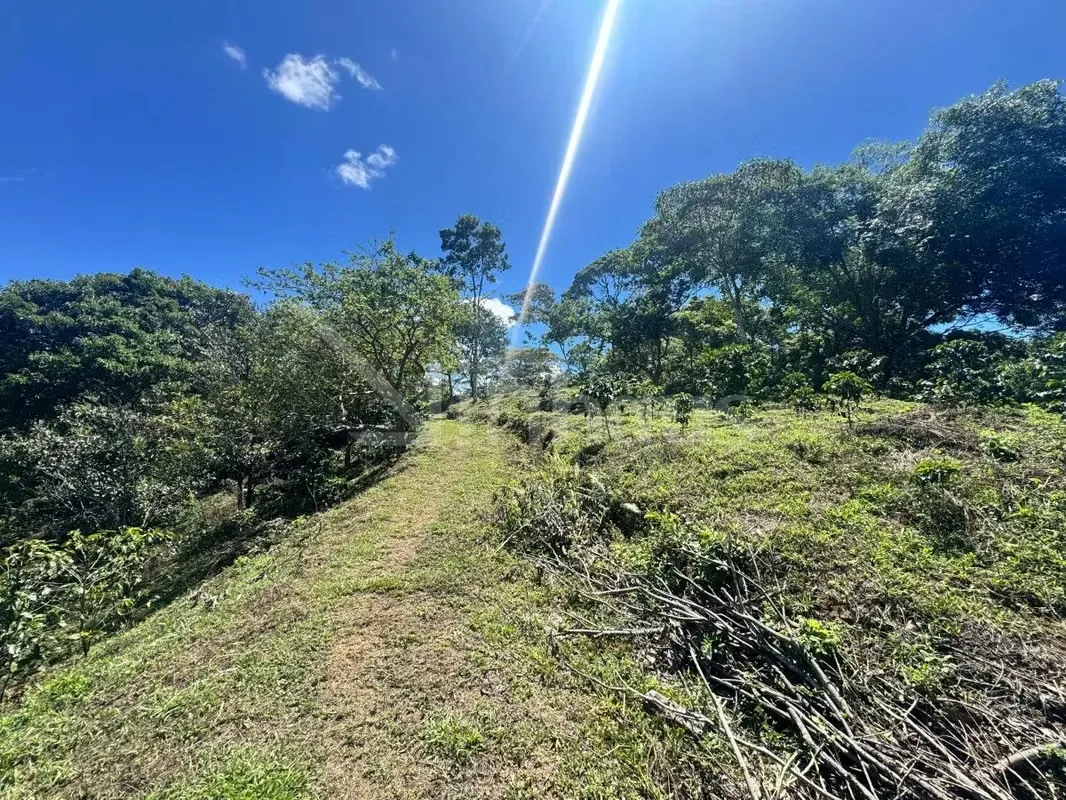 id 42268 Lote en Venta - San Ramón Tres Rios