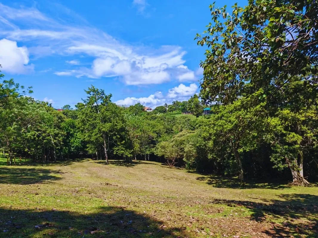 VENTA DE QUINTA EN TRONADORA TILARAN