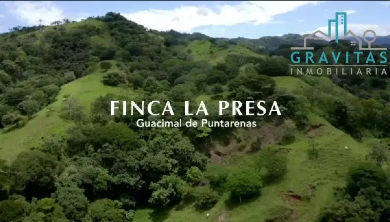 Venta de finca en Puntarenas Guacimal | 29 Ha | A 1.5 Km de calle principal | F 211