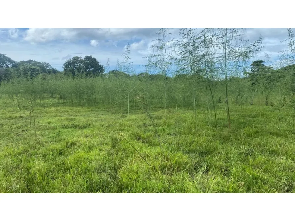 Hermoso lote totalmente plano con acceso a agua, luz e internet.