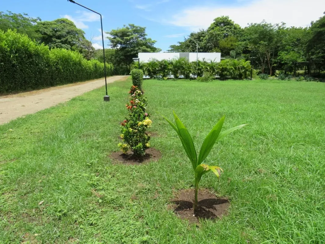 Villa Clarita is a new 2022 construction large, modern house. Total usable area is more than 4500 sq ft. Villa offers a lot of privacy. Private pool, a small house for the guard ... — photo 2