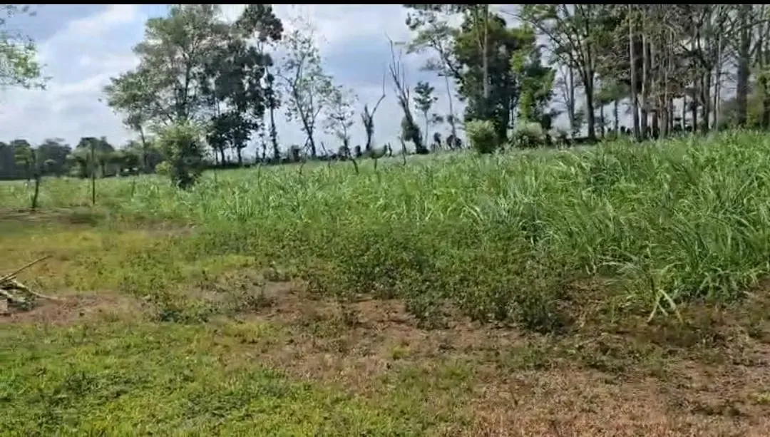 Lote en Venta El Tanque Florencia de San Carlos Alajuela