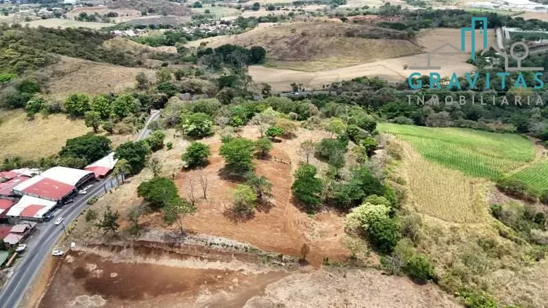 Commercial land for sale in Greece, 2 hectares ID 1963 — photo 3