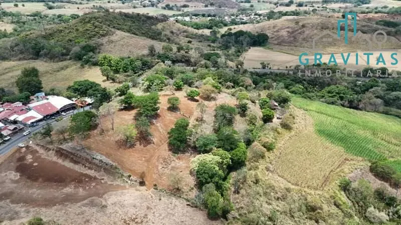 Commercial land for sale in Greece, 2 hectares ID 1963 — photo 4