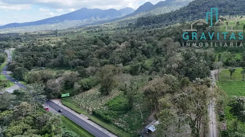 Land for sale in Fortuna with hot spring water (10,000 m2) ID 1745, photo 5