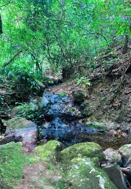 Farm for sale in Guácima, Alajuela (17,000 m2) ID 1754